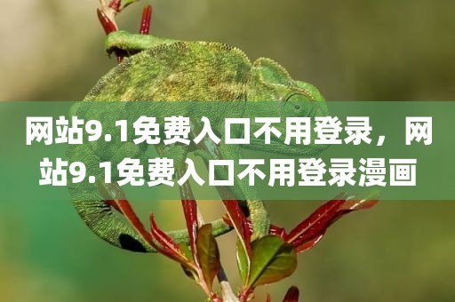 网站9.1免费入口不用登录，网站9.1免费入口不用登录漫画