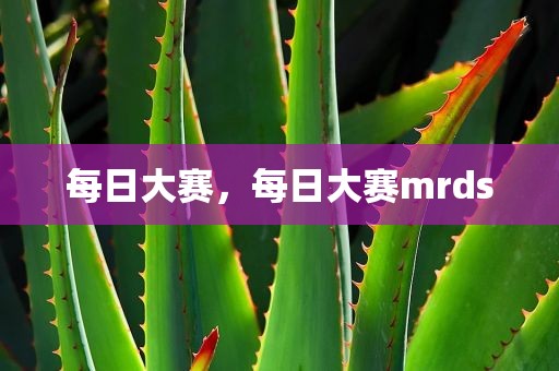 每日大赛，每日大赛mrds