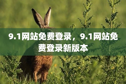 9.1网站免费登录，9.1网站免费登录新版本