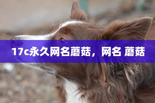 17c永久网名蘑菇，网名 蘑菇