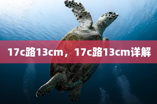 17c路13cm，17c路13cm详解