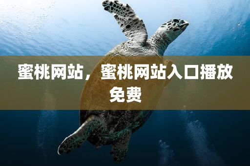 蜜桃网站，蜜桃网站入口播放免费