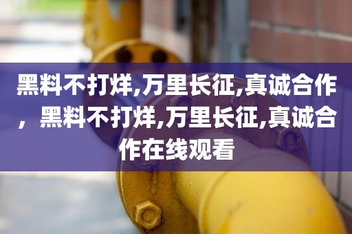 黑料不打烊,万里长征,真诚合作，黑料不打烊,万里长征,真诚合作在线观看