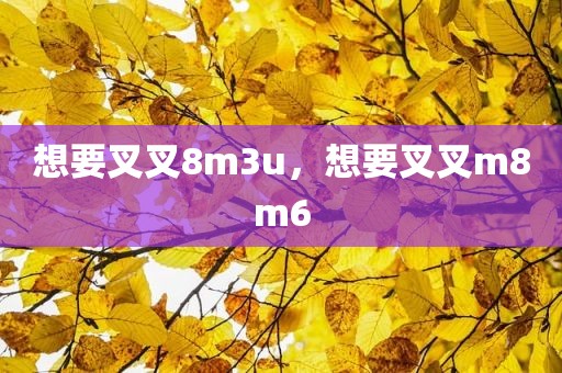 想要叉叉8m3u，想要叉叉m8m6