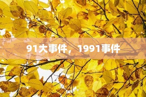 91大事件，1991事件