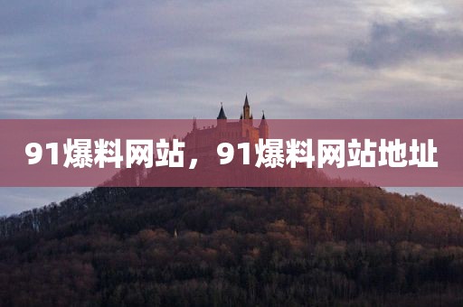 91爆料网站，91爆料网站地址