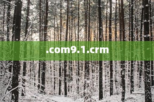 .com9.1.crm