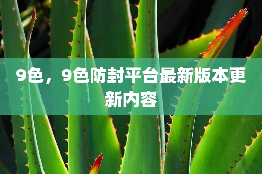 9色，9色防封平台最新版本更新内容