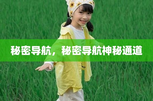 秘密导航，秘密导航神秘通道
