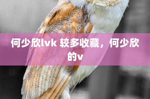 何少欣lvk 较多收藏，何少欣的v