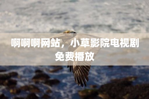 啊啊啊网站，小草影院电视剧免费播放