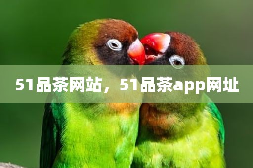 51品茶网站，51品茶app网址