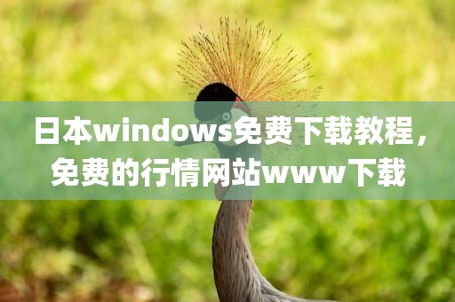 日本windows免费下载教程，免费的行情网站www下载