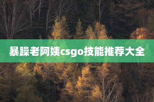 暴躁老阿姨csgo技能推荐大全