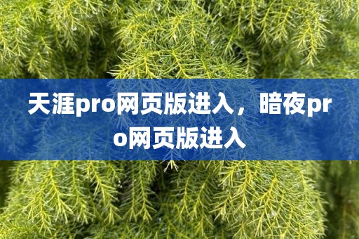 天涯pro网页版进入，暗夜pro网页版进入