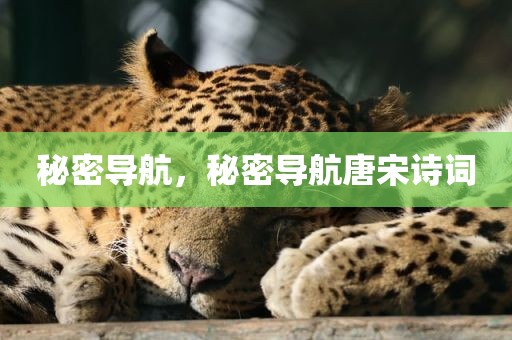 秘密导航，秘密导航唐宋诗词