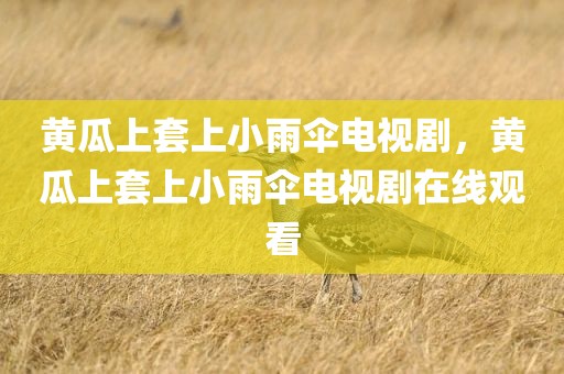 黄瓜上套上小雨伞电视剧，黄瓜上套上小雨伞电视剧在线观看