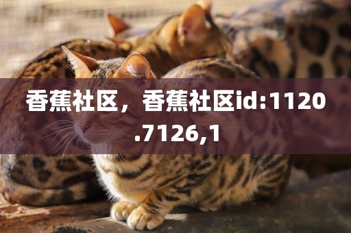 香蕉社区，香蕉社区id:1120.7126,1