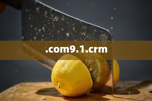 .com9.1.crm