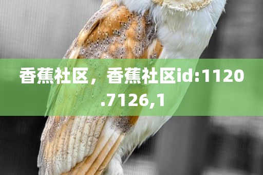 香蕉社区，香蕉社区id:1120.7126,1