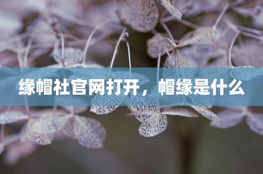 缘帽社官网打开，帽缘是什么