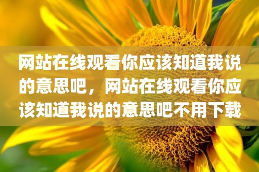网站在线观看你应该知道我说的意思吧，网站在线观看你应该知道我说的意思吧不用下载