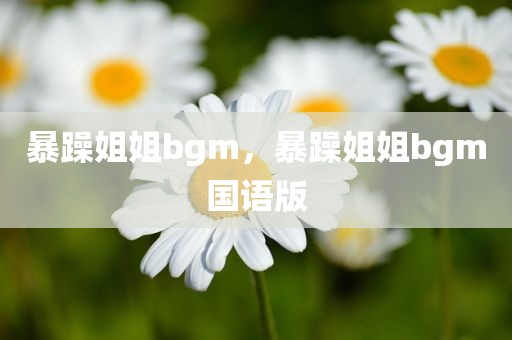 暴躁姐姐bgm，暴躁姐姐bgm国语版