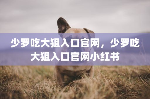 少罗吃大狙入口官网，少罗吃大狙入口官网小红书