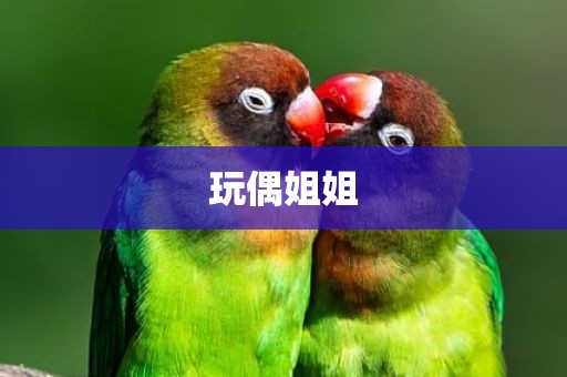 玩偶姐姐
