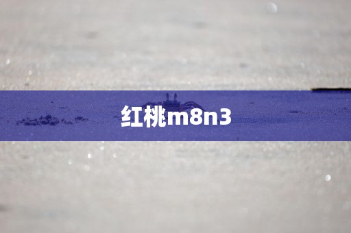 红桃m8n3