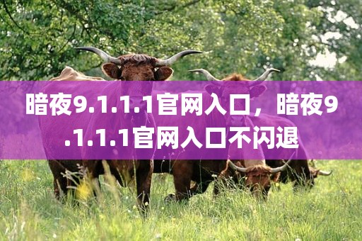 暗夜9.1.1.1官网入口，暗夜9.1.1.1官网入口不闪退