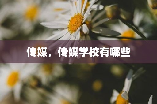 传媒，传媒学校有哪些