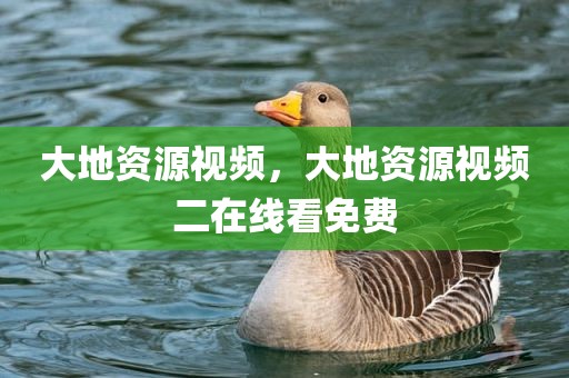 大地资源视频，大地资源视频二在线看免费