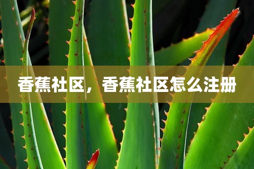 香蕉社区，香蕉社区怎么注册