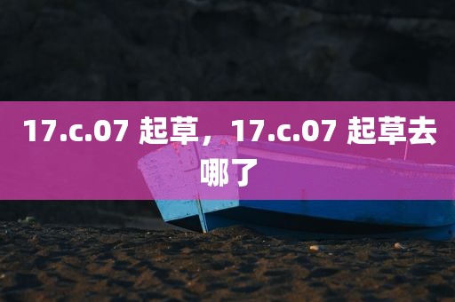 17.c.07 起草，17.c.07 起草去哪了