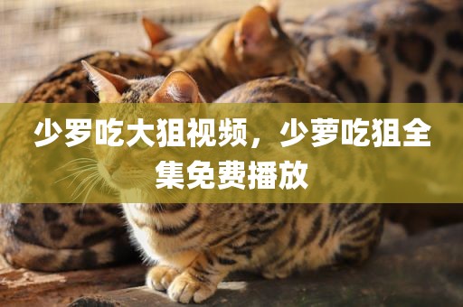 少罗吃大狙视频，少萝吃狙全集免费播放