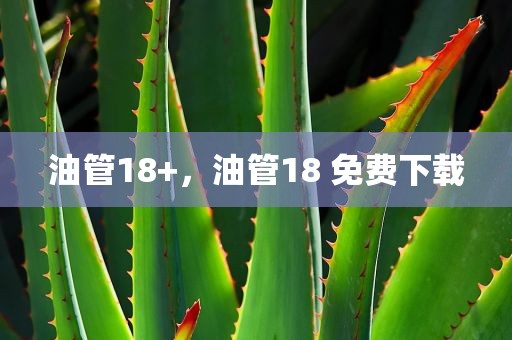 油管18+，油管18 免费下载