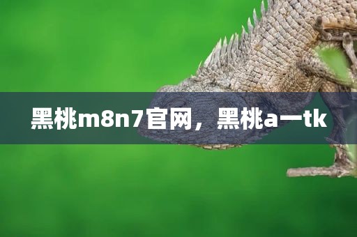黑桃m8n7官网，黑桃a一tk