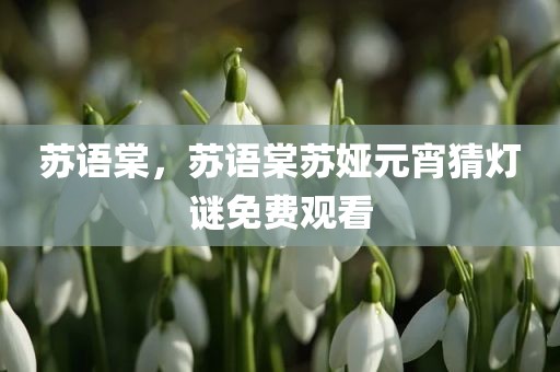苏语棠，苏语棠苏娅元宵猜灯谜免费观看