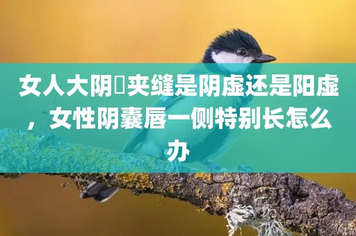 女人大阴脣夹缝是阴虚还是阳虚，女性阴囊唇一侧特别长怎么办