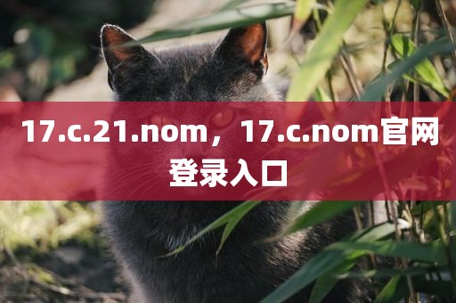 17.c.21.nom，17.c.nom官网登录入口