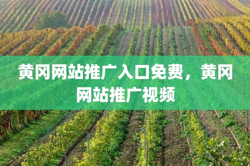 黄冈网站推广入口免费，黄冈网站推广视频