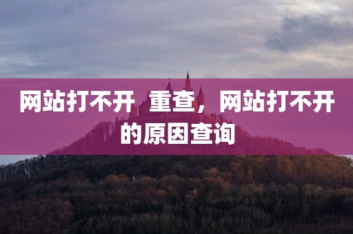 网站打不开  重查，网站打不开的原因查询