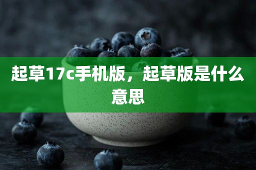 起草17c手机版，起草版是什么意思
