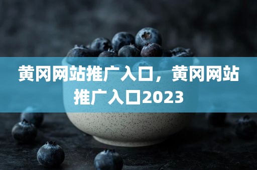 黄冈网站推广入口，黄冈网站推广入口2023