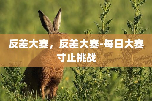 反差大赛，反差大赛-每日大赛寸止挑战