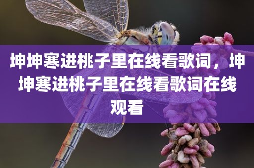 坤坤寒进桃子里在线看歌词，坤坤寒进桃子里在线看歌词在线观看