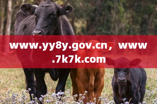 www.yy8y.gov.cn，www.7k7k.com