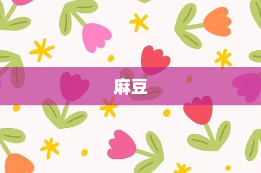 麻豆