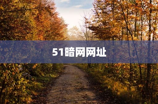 51暗网网址